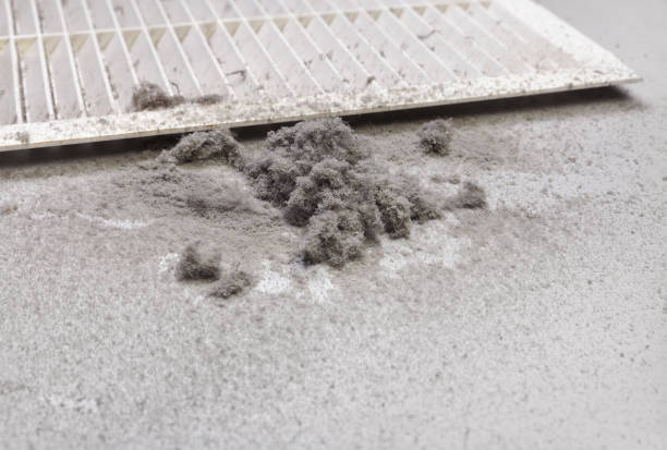 Best Ductwork Cleaning Services  in Effort, PA