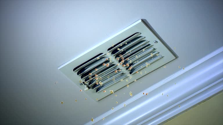 Best Ventilation Cleaning Services  in Effort, PA