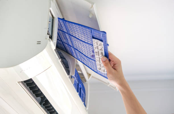 Best Air Duct Mold Removal  in Effort, PA